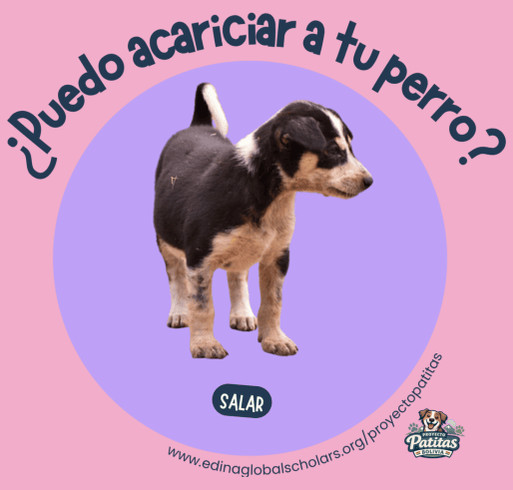 Salar's Shirt | Proyecto Patitas shirt design - zoomed