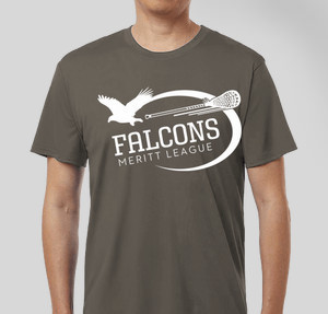 Thumbnail for Design Idea Number 54539: Falcons