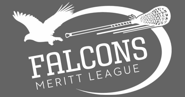 Zoomed in Design Idea Number 54539: Falcons