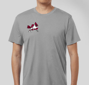 Thumbnail for Design Idea Number 54391: Cardinals