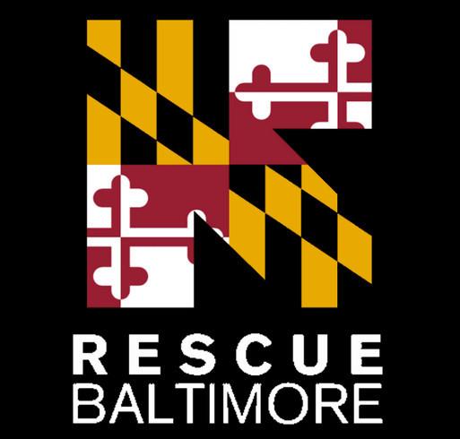 Support your IRC in Baltimore in honor of World Refugee Day! shirt design - zoomed