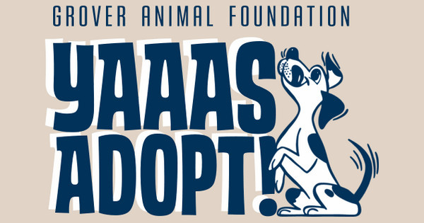 animal adoption