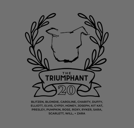 The Triumphant Twenty shirt design - zoomed