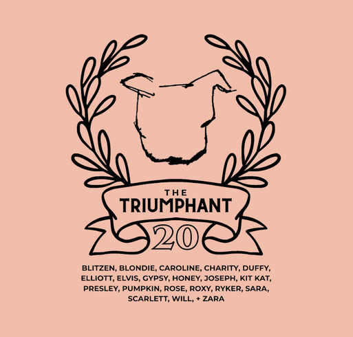 The Triumphant Twenty shirt design - zoomed