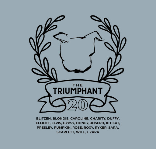 The Triumphant Twenty shirt design - zoomed
