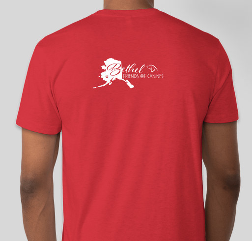 Dakota's Raven - 10 year Anniversary Fundraiser - unisex shirt design - back