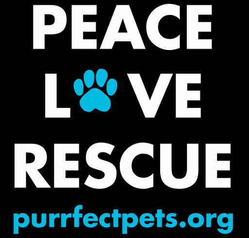 Purrfect Pets Fundraiser shirt design - zoomed