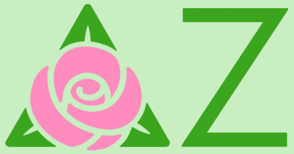 Delta Zeta T-Shirt Designs - Designs For Custom Delta Zeta T-Shirts ...