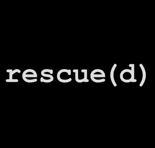 Furrever Friends Fundraiser for Homeless Kitten's Surgery shirt design - zoomed