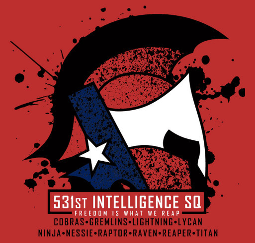 2023 531st Intelligence Squadron Shirts Custom Ink Fundraising