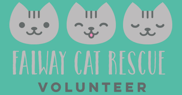 Zoomed in Design Idea Number 57893: falway cat rescue