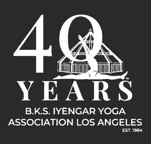 Weekend Of Wellness Fundraiser 2024 shirt design - zoomed