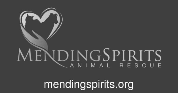 Mending Spirits Animal Rescue Custom Ink Fundraising