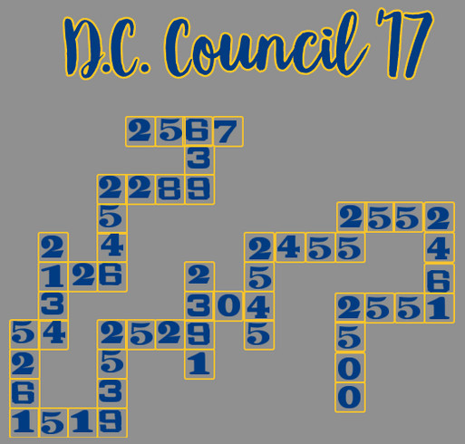 Einstein AZA DC Council Crossword Sweatshirt Custom Ink ...
