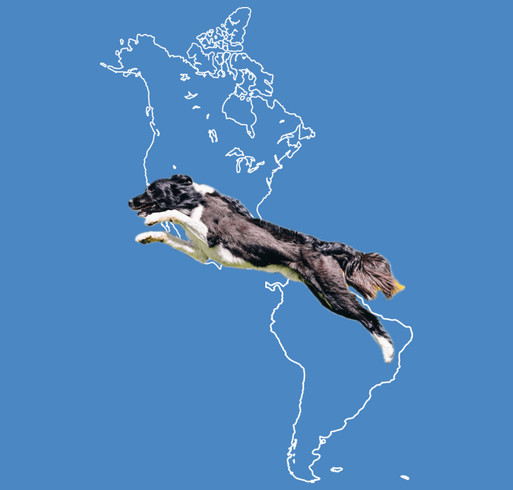 2026 AyC Agility! shirt design - zoomed