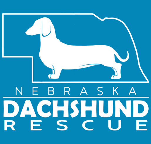 Gemma and 37 More Dachshunds Need Your Help shirt design - zoomed