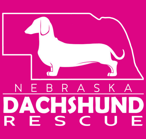 Gemma and 37 More Dachshunds Need Your Help shirt design - zoomed