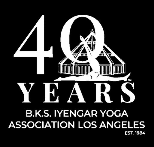 Weekend Of Wellness Fundraiser 2024 shirt design - zoomed