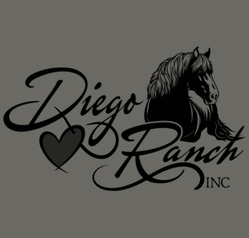 WHY THIS T SHIRT... Because we are saving children & veterans lives through equine assisted therapy shirt design - zoomed