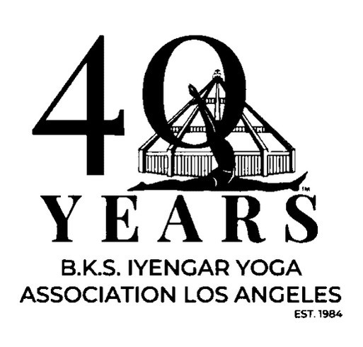 Weekend Of Wellness Fundraiser 2024 shirt design - zoomed