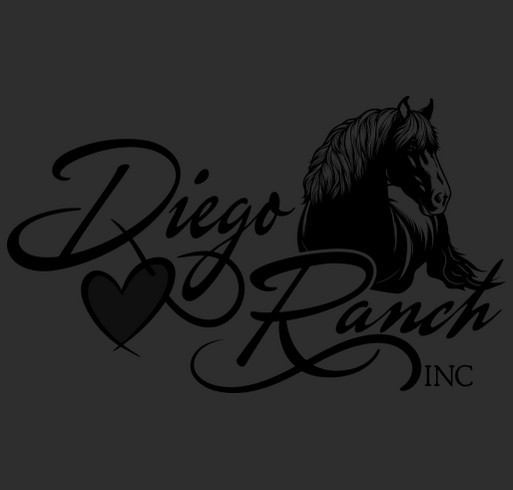 WHY THIS T SHIRT... Because we are saving children & veterans lives through equine assisted therapy shirt design - zoomed