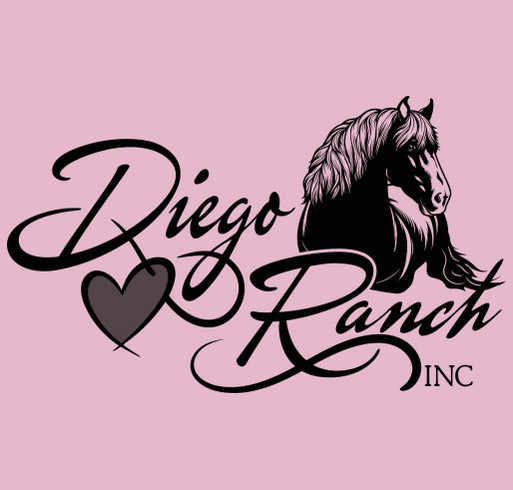 WHY THIS T SHIRT... Because we are saving children & veterans lives through equine assisted therapy shirt design - zoomed
