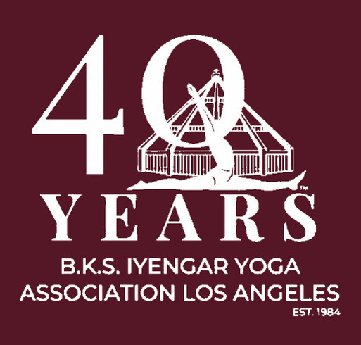 Weekend Of Wellness Fundraiser 2024 shirt design - zoomed