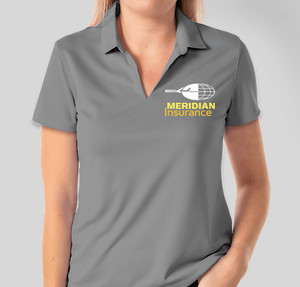 Thumbnail for Design Idea Number 42676: Meridian Insurance