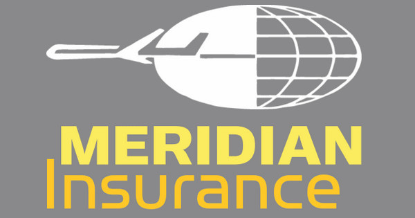 Zoomed in Design Idea Number 42676: Meridian Insurance