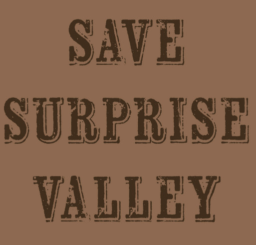 Rally The Valley-Eagleville! shirt design - zoomed