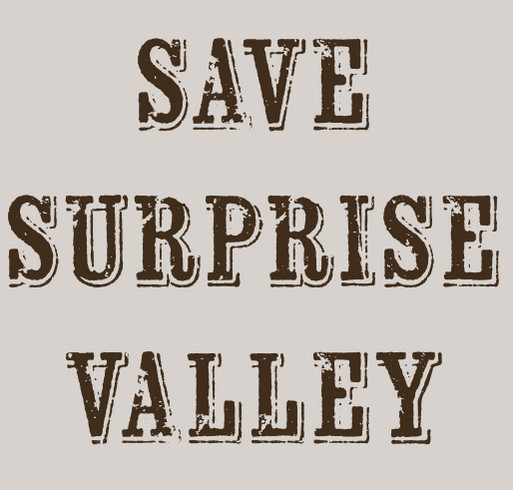 Rally The Valley-Eagleville! shirt design - zoomed