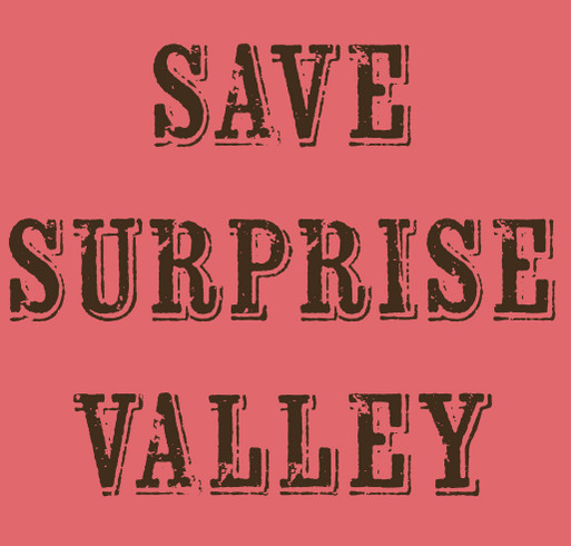 Rally The Valley-Eagleville! shirt design - zoomed