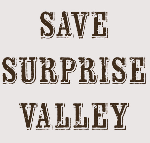 Rally The Valley-Eagleville! shirt design - zoomed