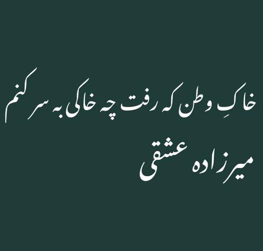 ISO Davis: Represent & Give Back shirt design - zoomed