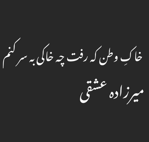 ISO Davis: Represent & Give Back shirt design - zoomed