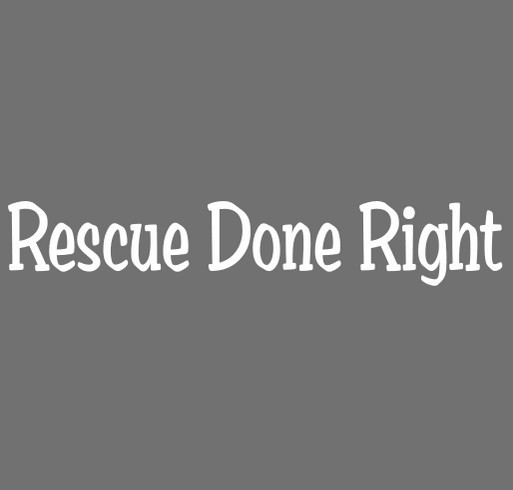 Paddy's Paws: Rescue Done Right! shirt design - zoomed