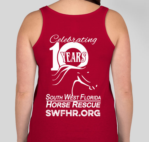 Celebrate 10 years with us! Fundraiser - unisex shirt design - back