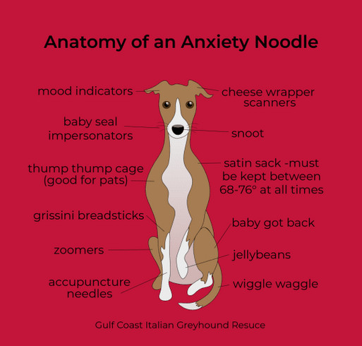 Anatomy of an Anxiety Noodle- Tanks shirt design - zoomed