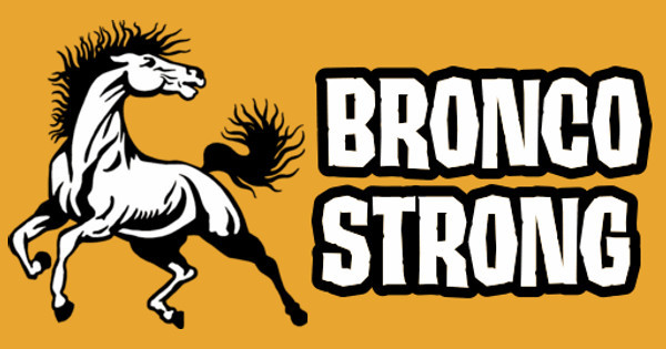 Zoomed in Design Idea Number 54767: Bronco Strong