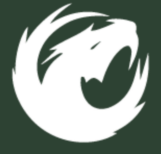 Dragon Reimagined shirt design - zoomed