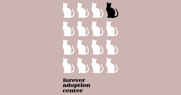 Forever Adoption Center