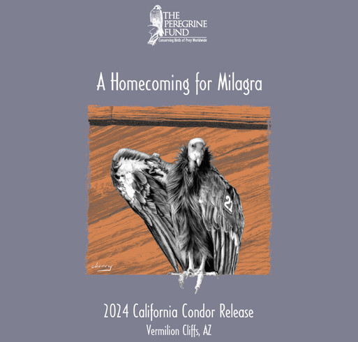 2024 California Condor Release, Vermilion Cliffs, AZ shirt design - zoomed