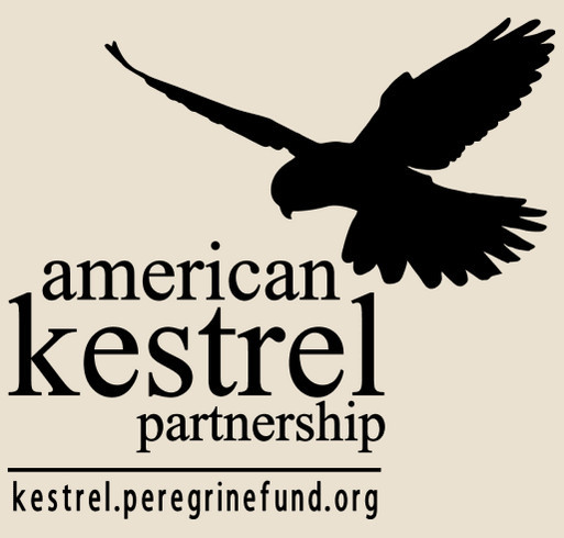 American Kestrel Partnership 2018 shirt design - zoomed