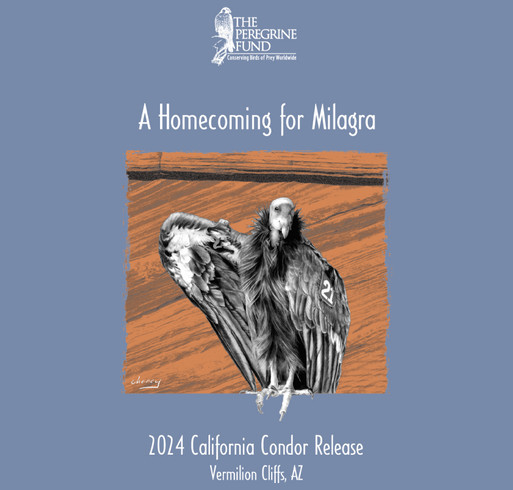 2024 California Condor Release, Vermilion Cliffs, AZ shirt design - zoomed