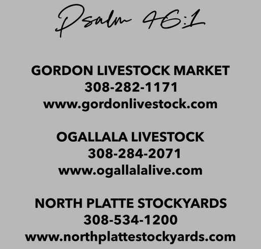 Sandhills Strong 2 shirt design - zoomed