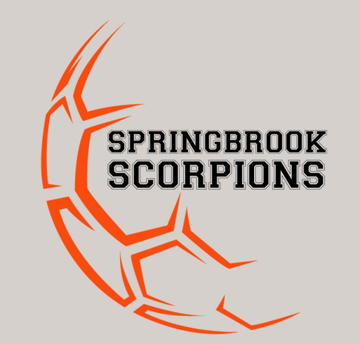 Springbrook Scorpions Soccer - Team NYS! shirt design - zoomed