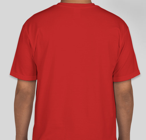 Ashland High School Grizzly Baseball Fundraiser - unisex shirt design - back