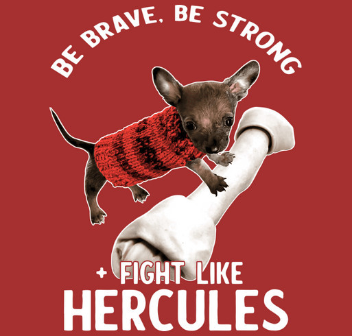 Hercules is our Hero! shirt design - zoomed