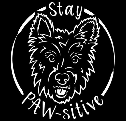 Stay PAW-sitive Insulated Water Bottle! shirt design - zoomed