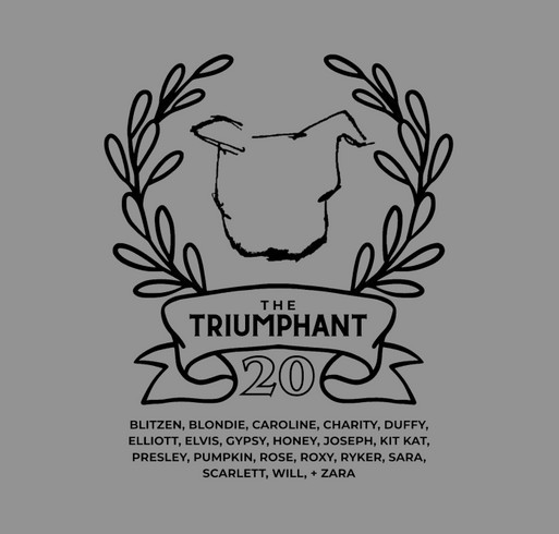 The Triumphant Twenty shirt design - zoomed